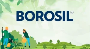 Borosil