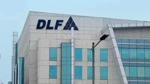 DLF