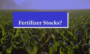 Fertilizer Stocks
