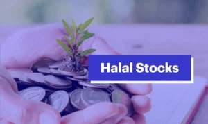 Halal (Shariah-Compliant) Stocks