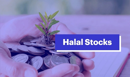 Halal (Shariah-Compliant) Stocks