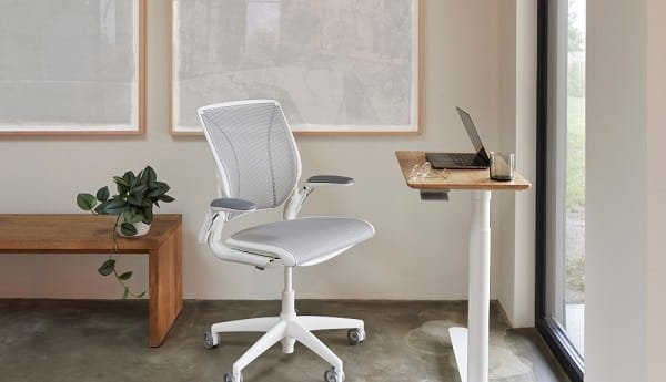 Best Ergonomic Study Chairs for Students and Professionals