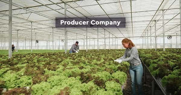 What is a Producer Company? (Agriculture Focus)
